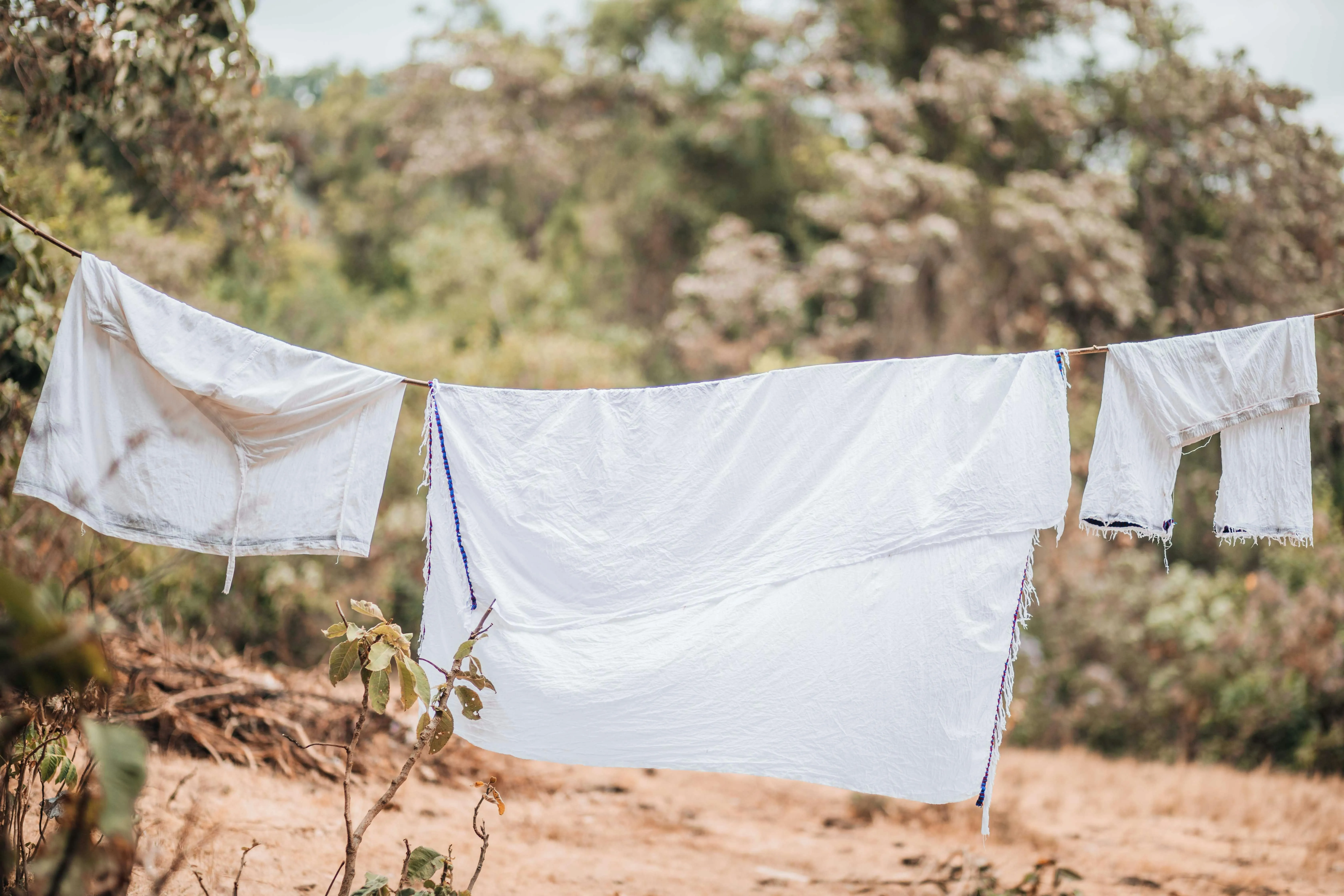 Christian Alemu on Pexels