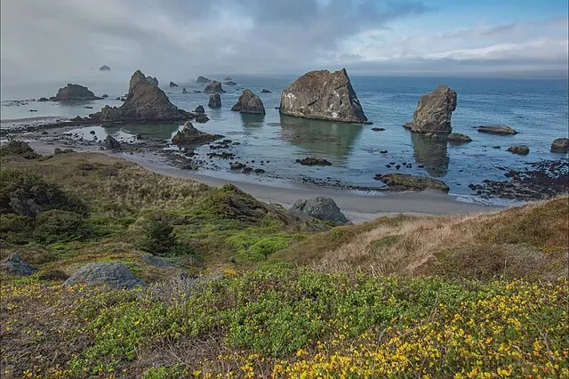 USFWS Pacific on wikimedia