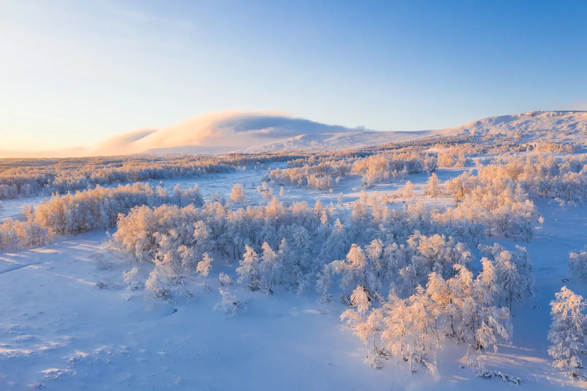 18 Natural Changes People Noticed During Winter