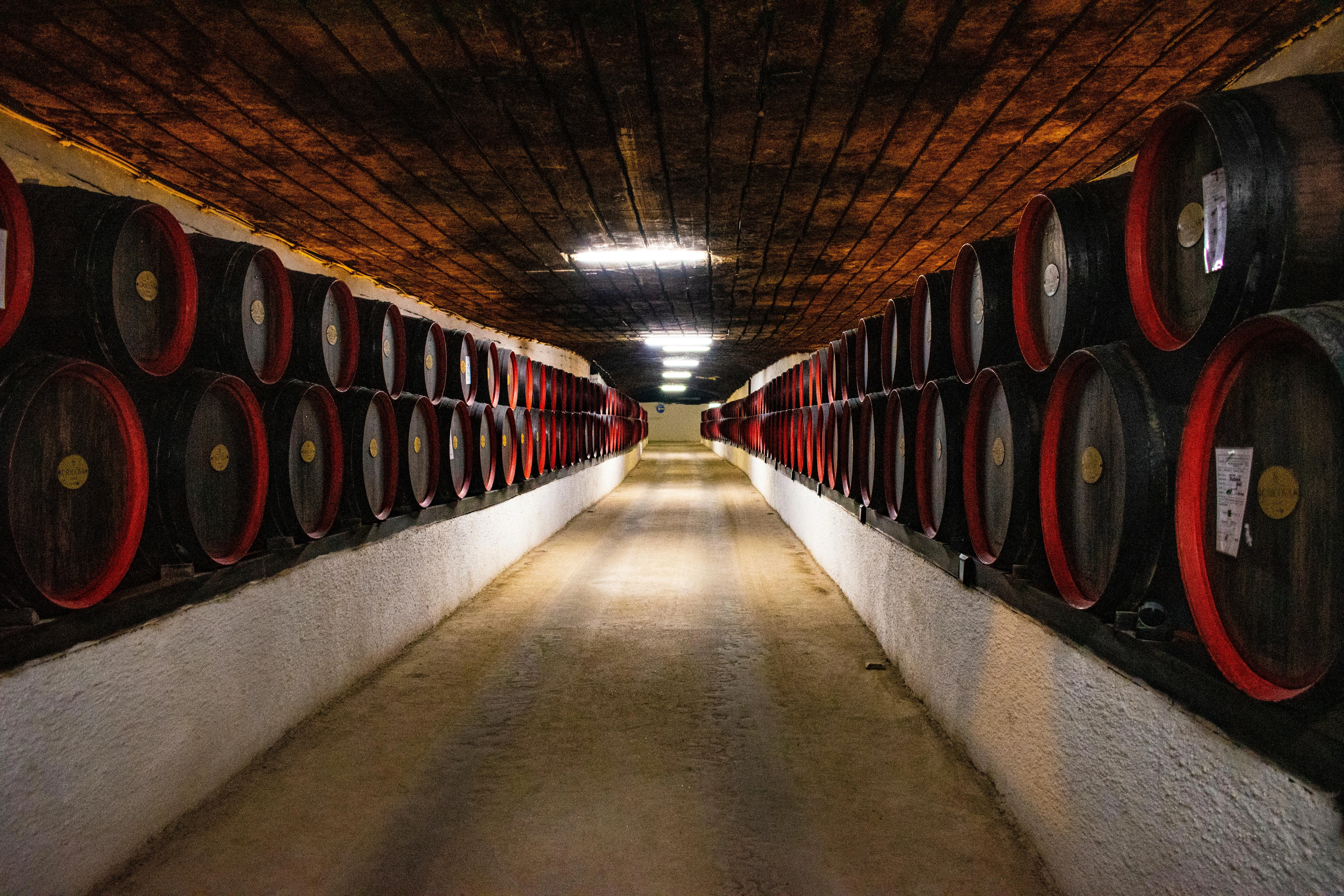 Ion Ceban @ionelceban on Pexels