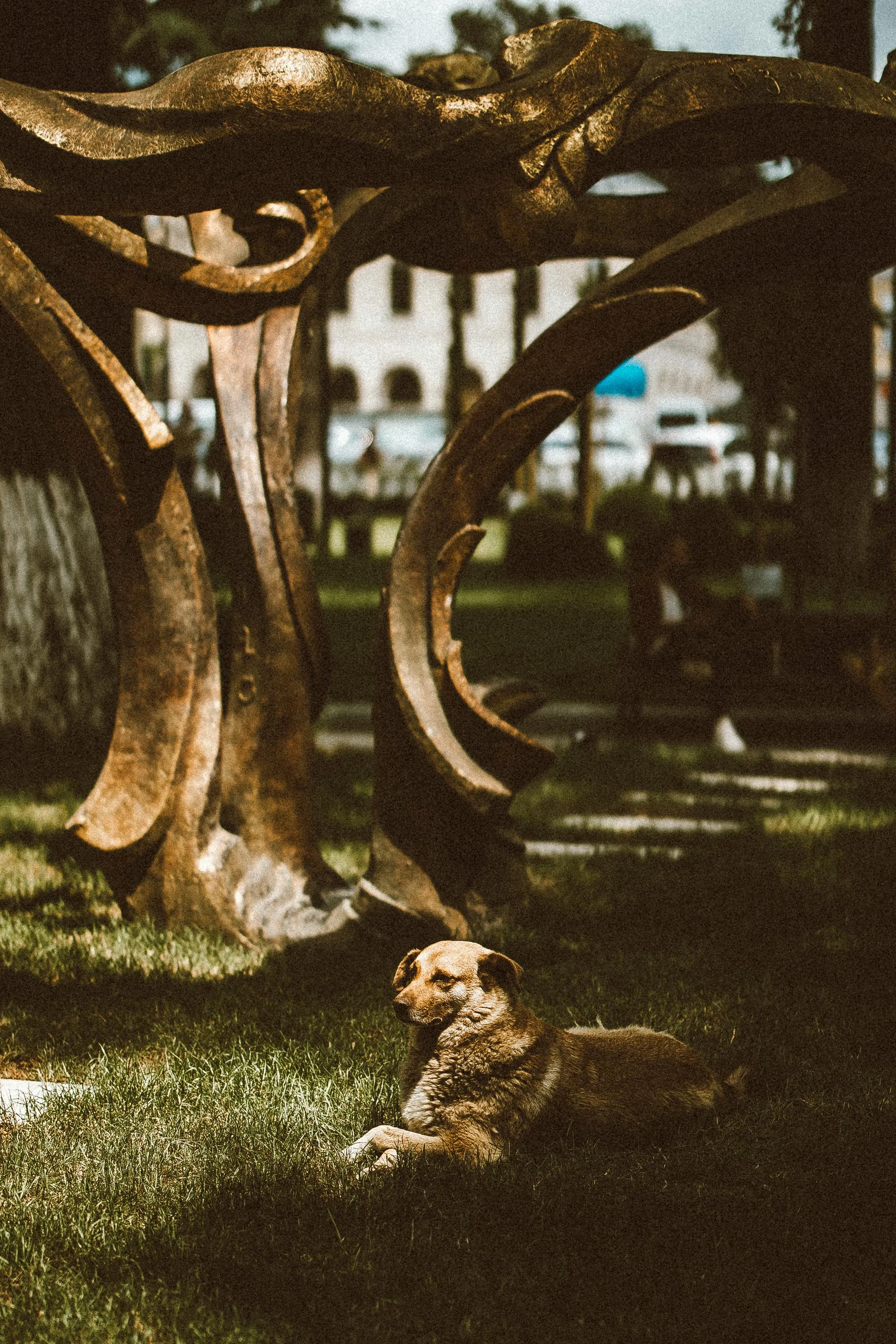 Eslam Mohammed Abdelmaksoud on Pexels