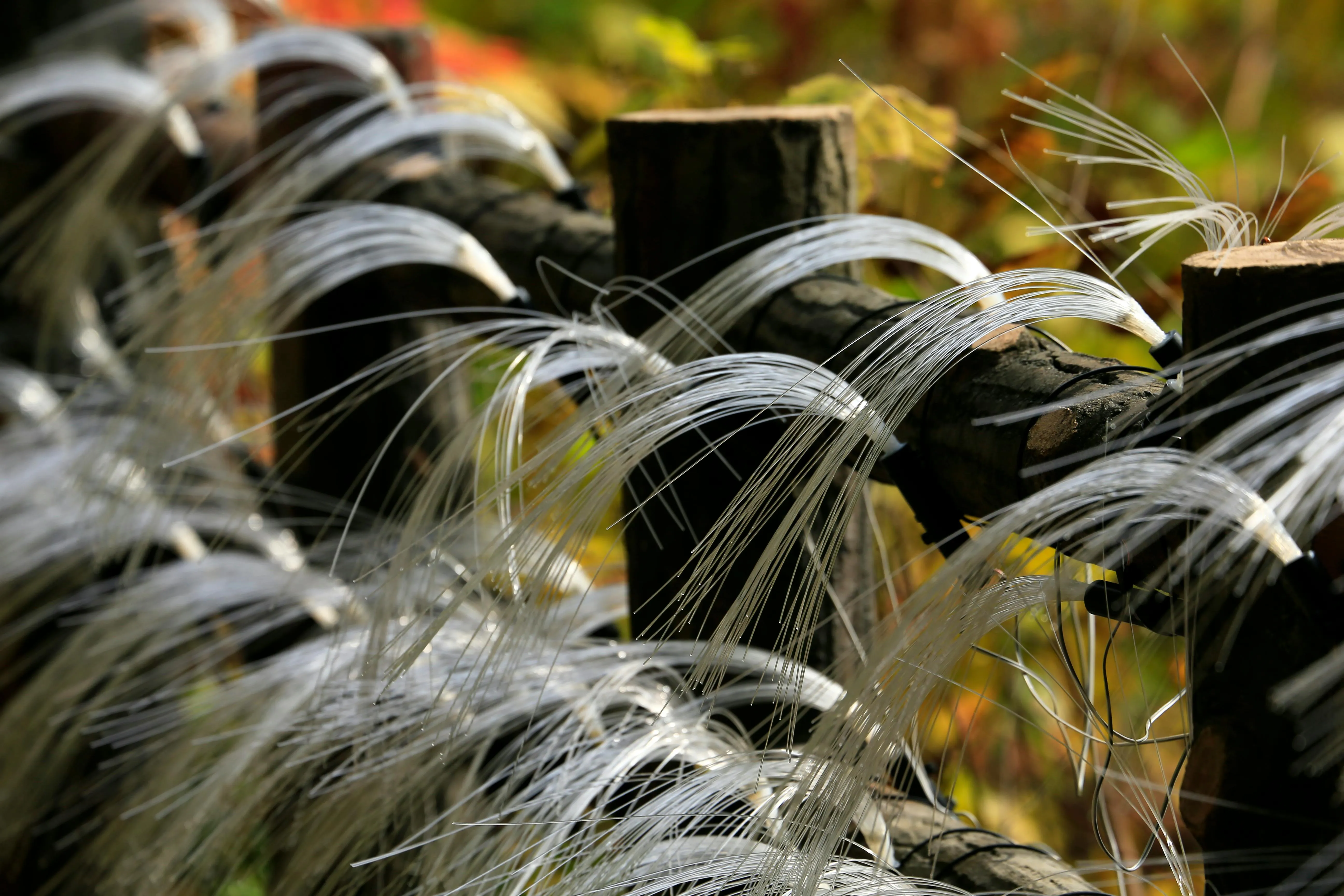 12 Natural Materials With Unique Strength or Flexibility