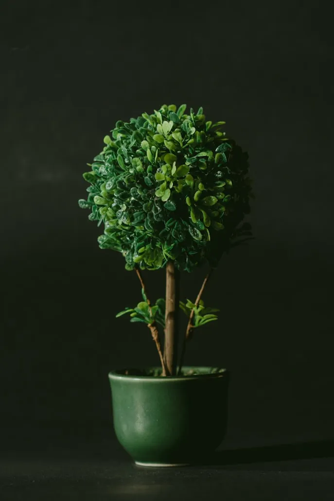 Nagy Arnold from Unsplash