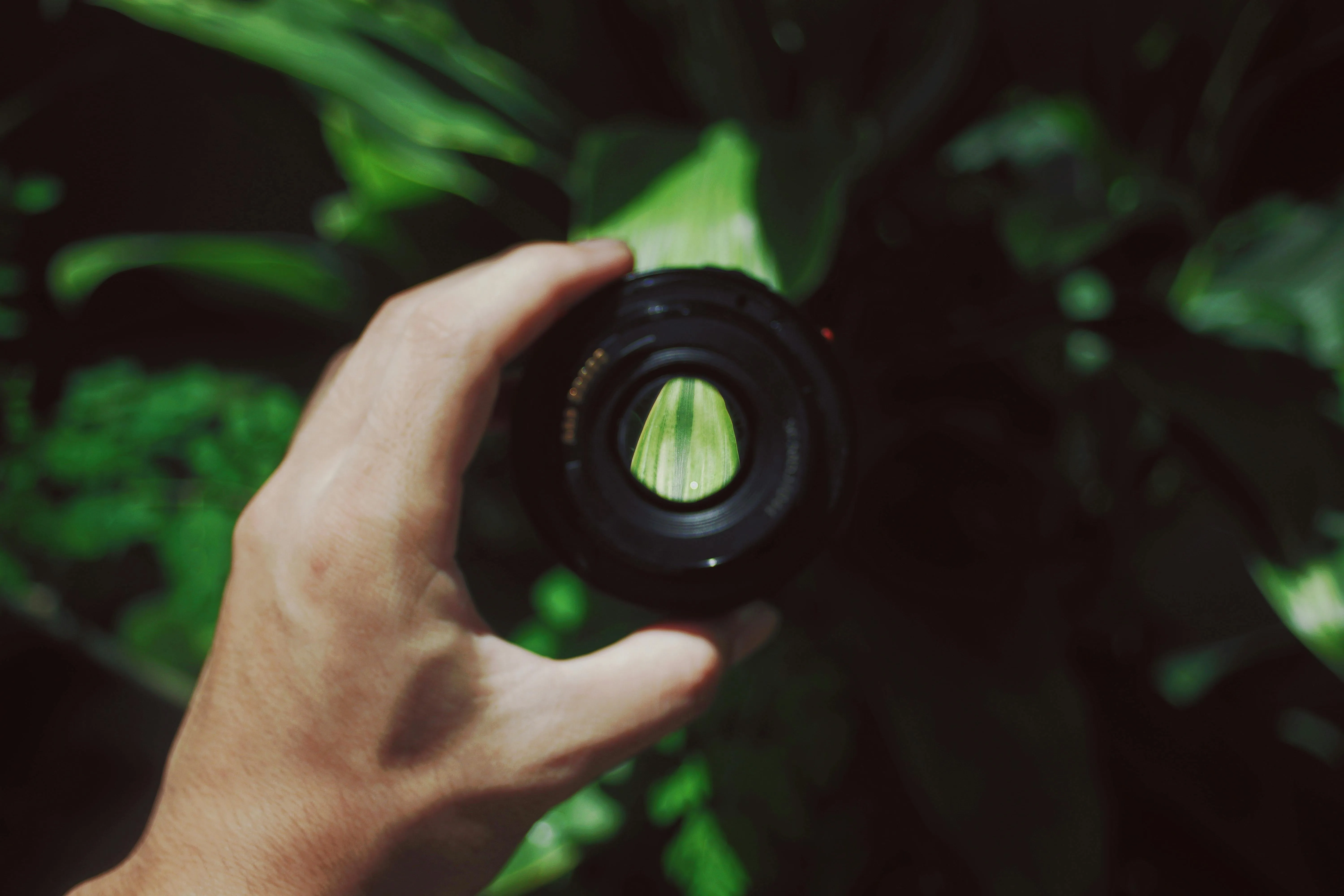 Nothing Ahead on Pexels