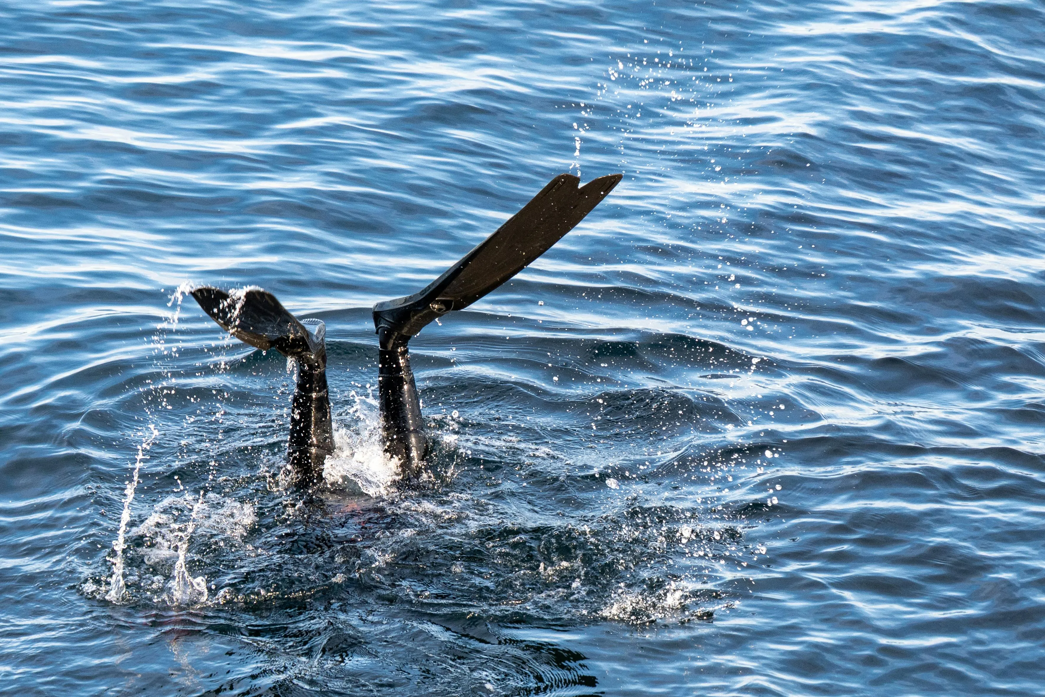 Beth Fitzpatrick on pexels