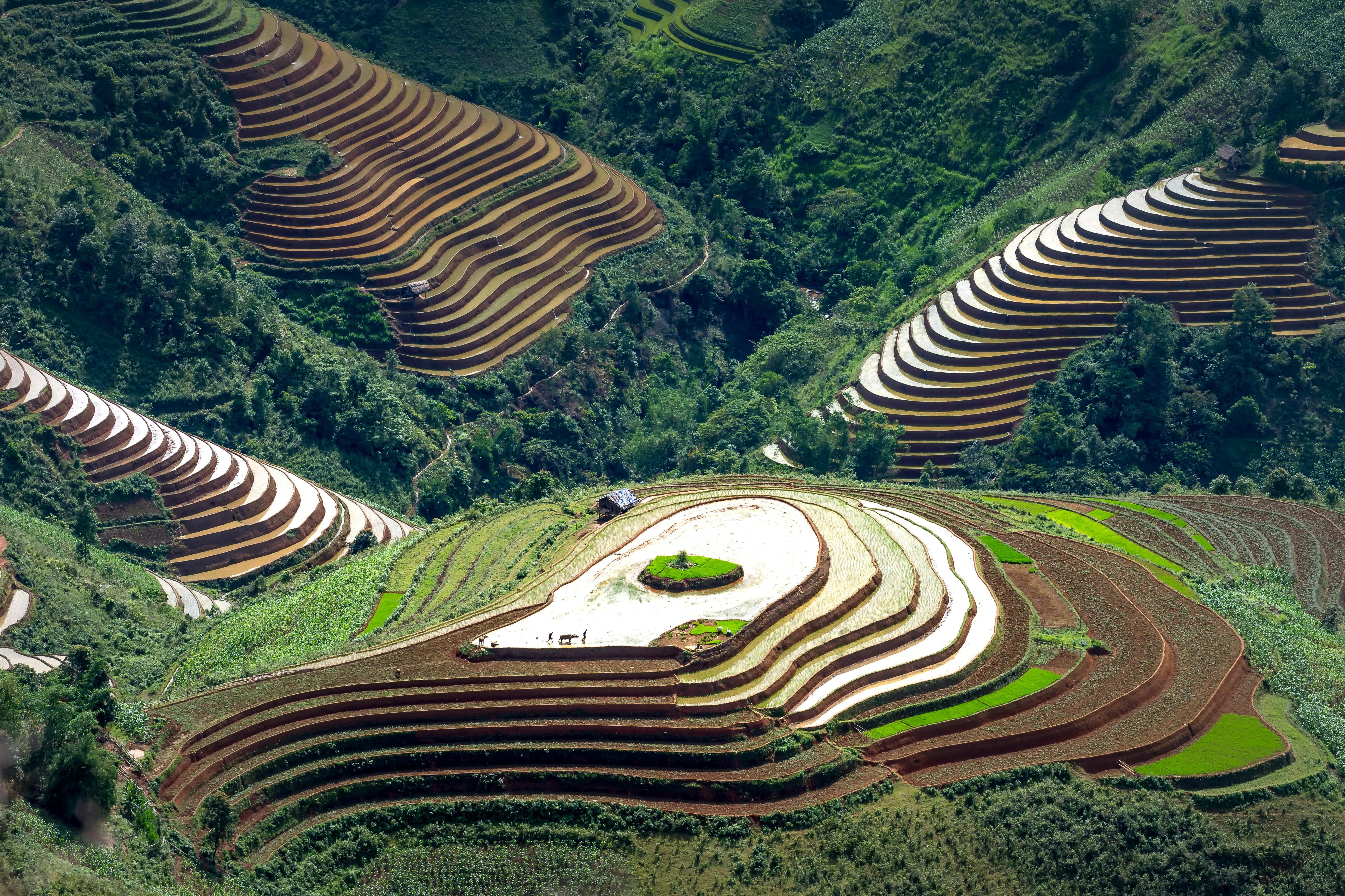 17 Early Agricultural Systems That Fed Civilizations