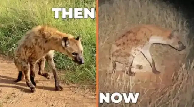 source: reddit