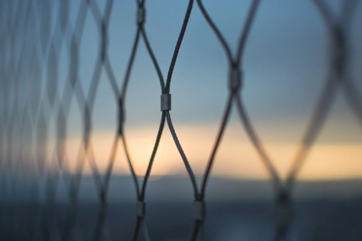 Nick van den Berg from Unsplash