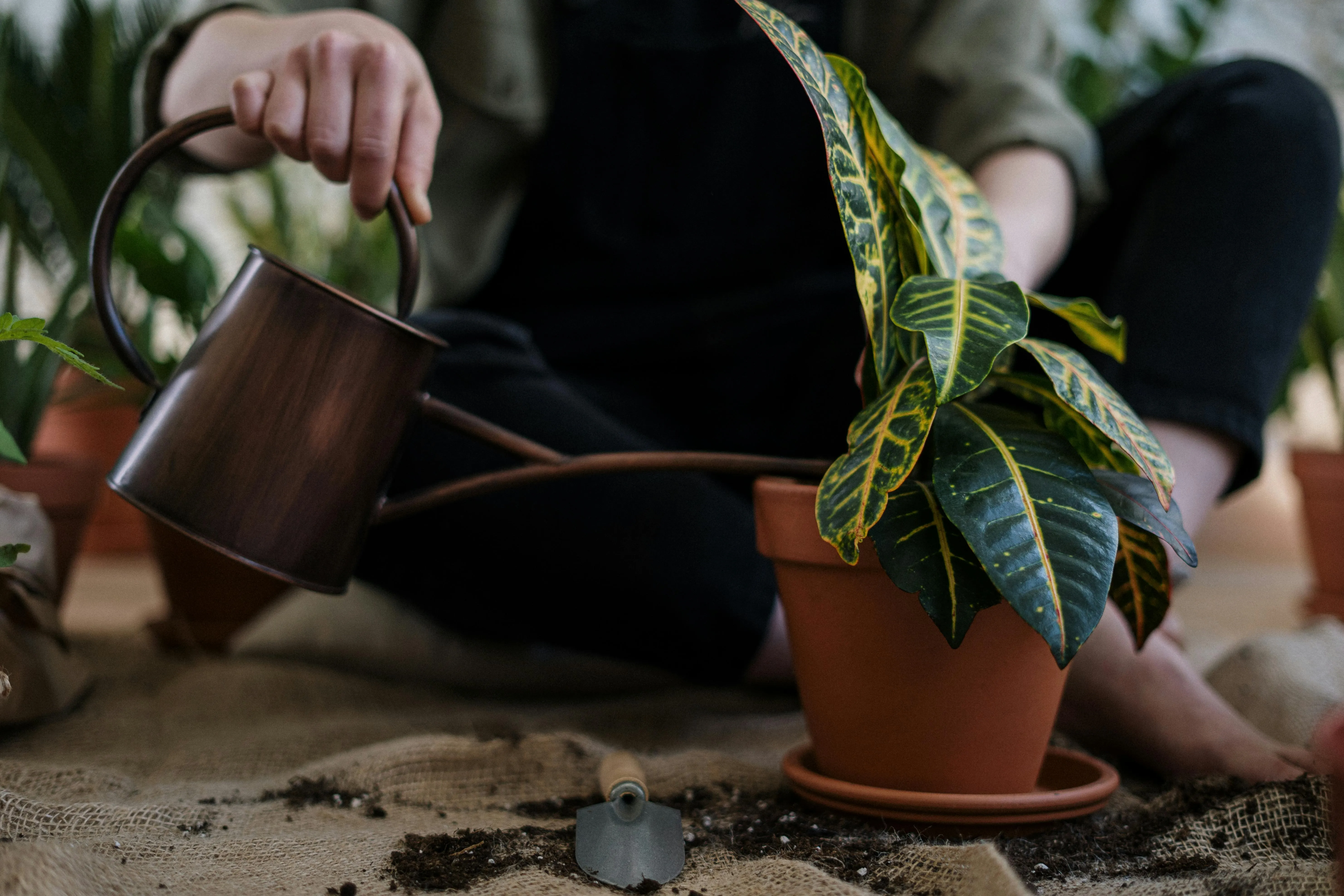 cottonbro studio on Pexels