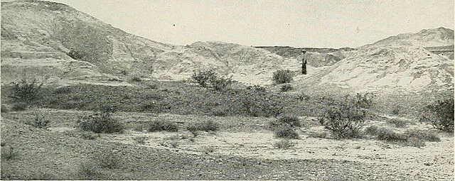 Internet Archive Book Images on Wikimedia Commons