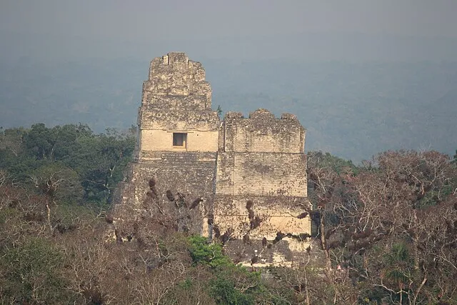 Arian Zwegers on Wikimedia Commons