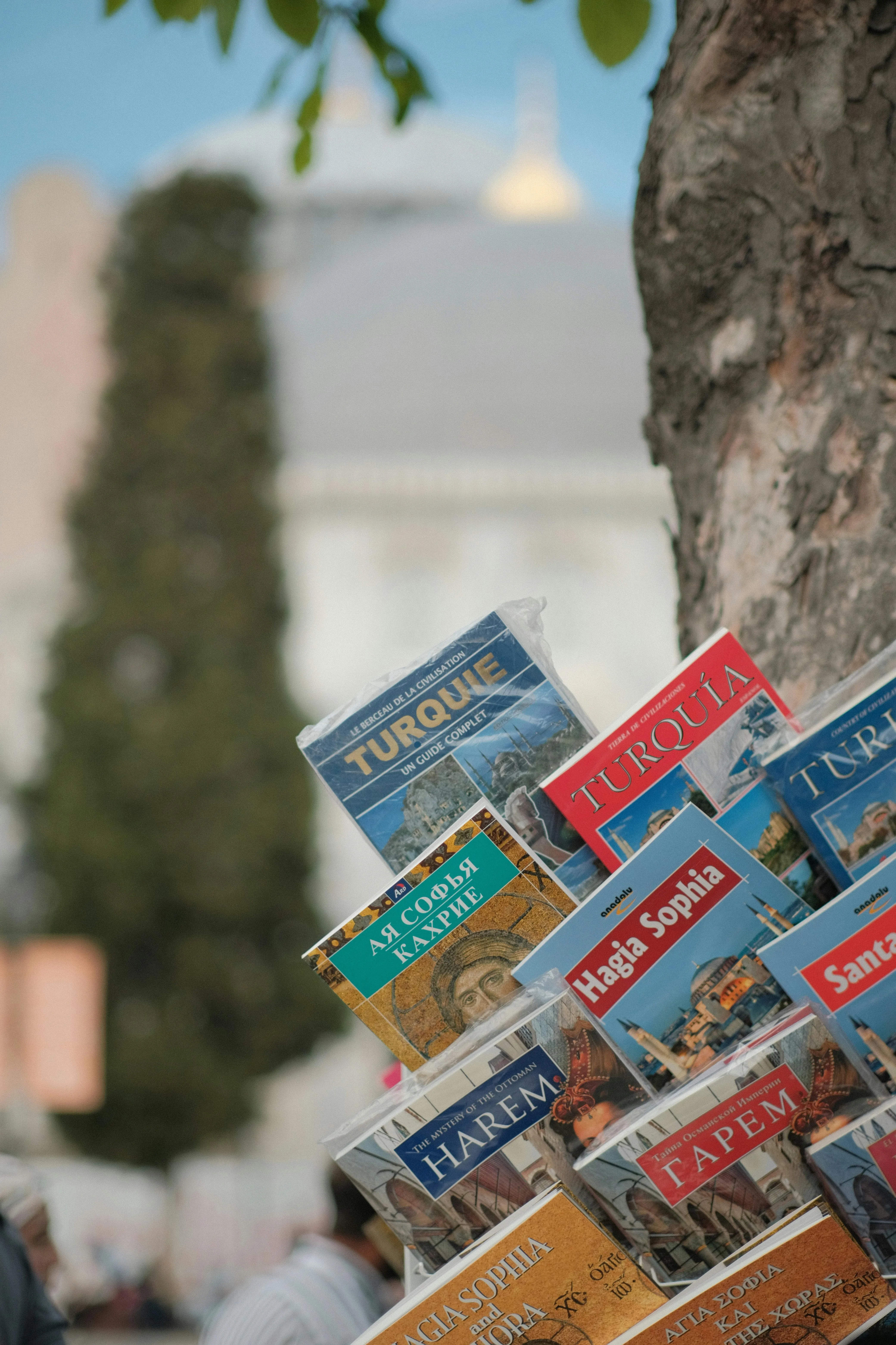 Oğuzhan Karataş on Pexels 