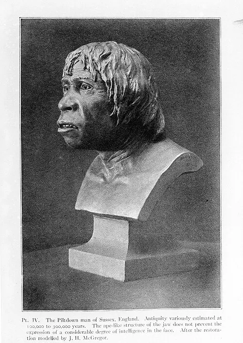 Wellcome Collection on Wikimedia Commons