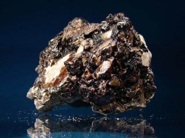 Piotr Gut on Wikimedia Commons