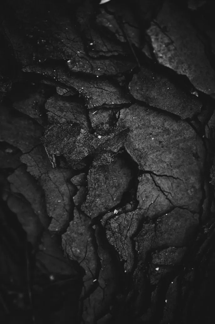 Brian Patrick Tagalog from Unsplash