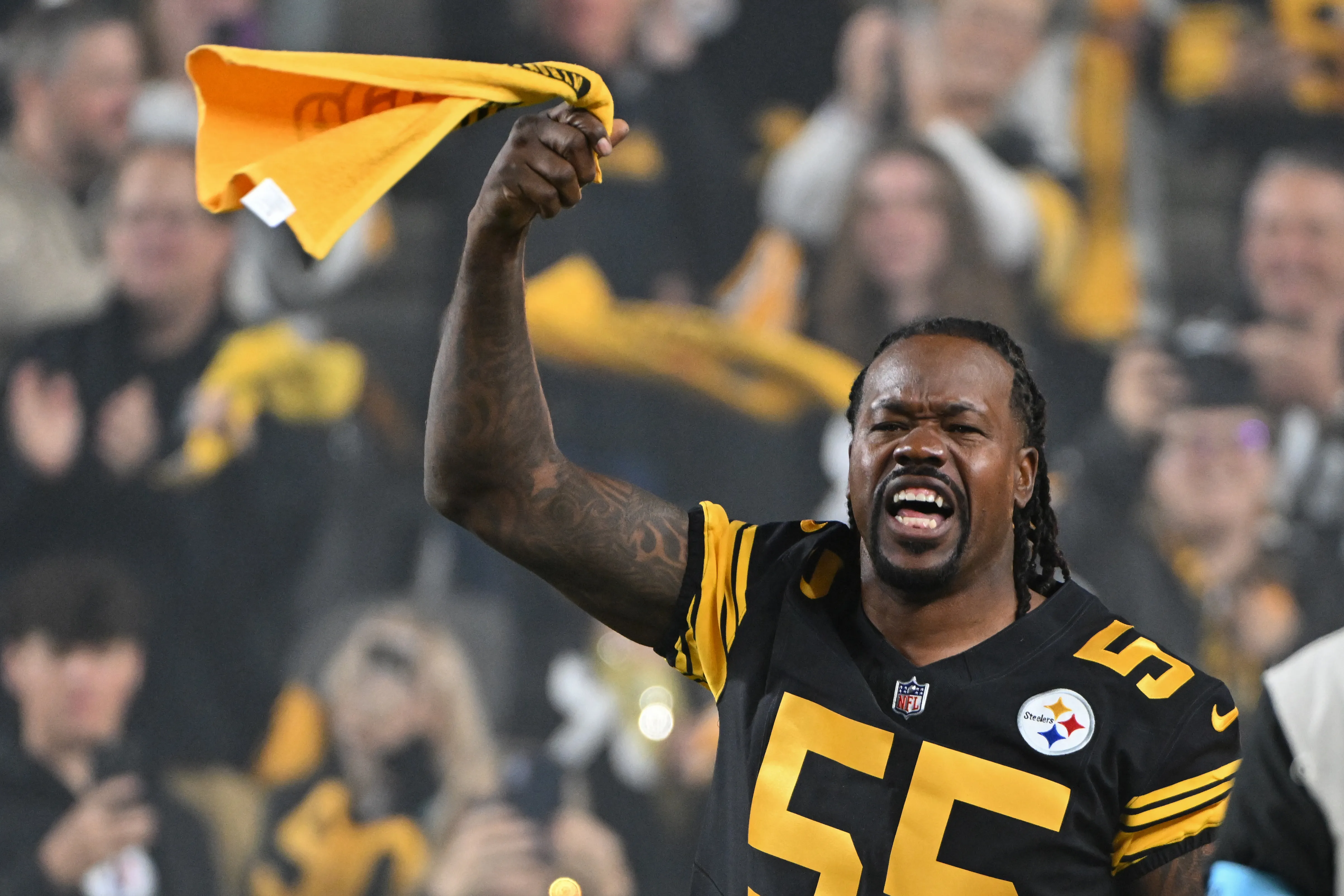 Steelers Civil War: Joey Porter Backs Tomlin, Targets Roethlisberger