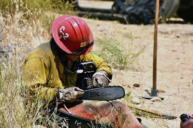 California Interagency Incident Management Team 11 on Wikimedia Commons