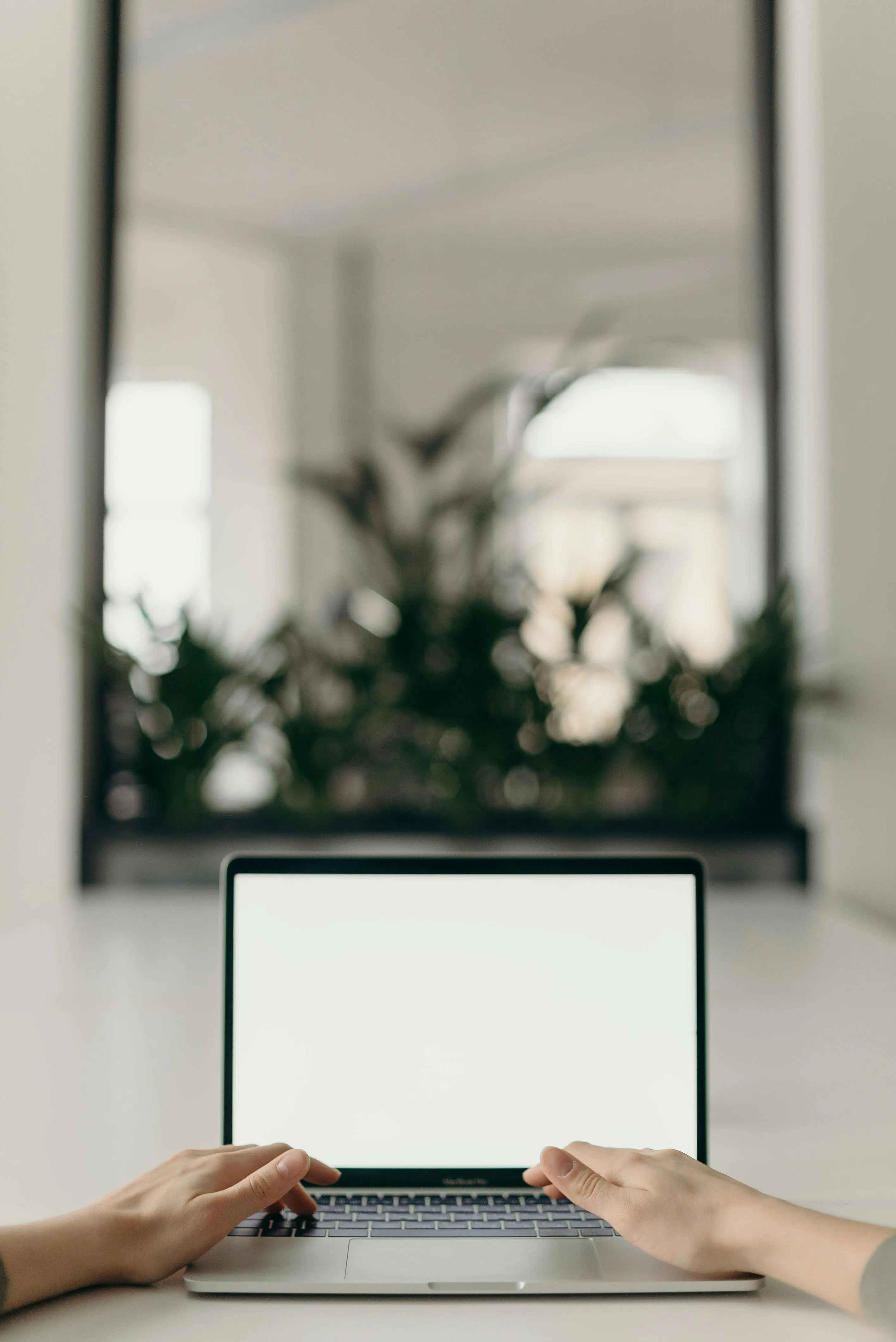 cottonbro studio on Pexels