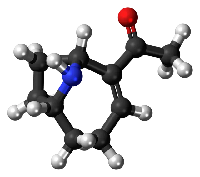 Jynto on Wikimedia Commons