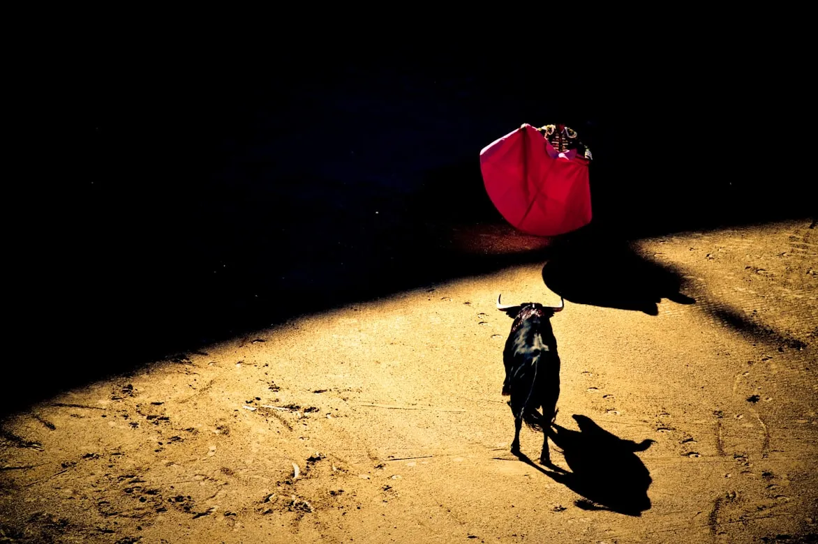 Giovanni Calia on Unsplash