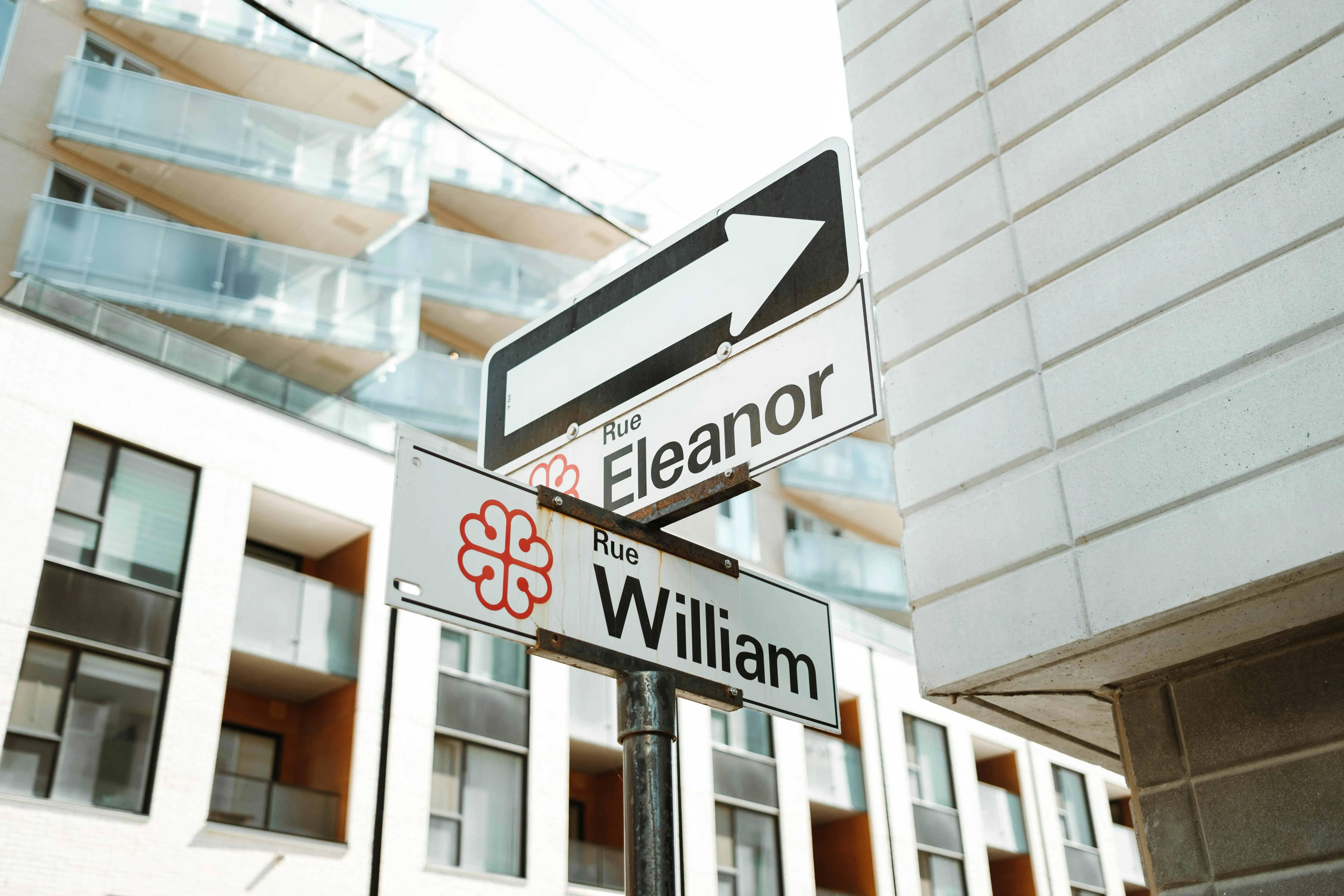 William Choquette on Pexels