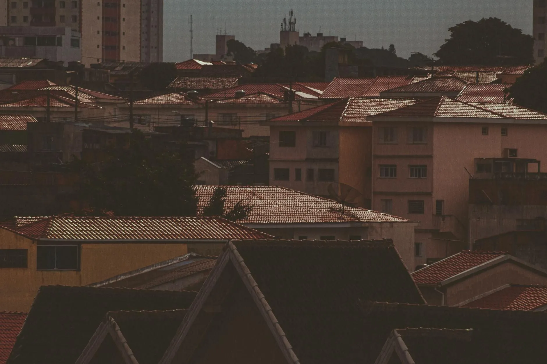 Lucas Pezeta on Pexels