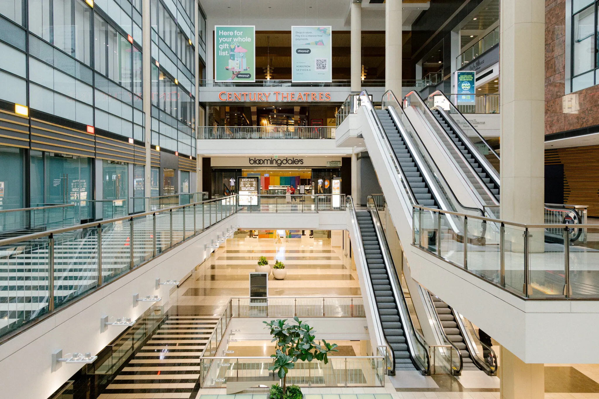 Image from The New York Times