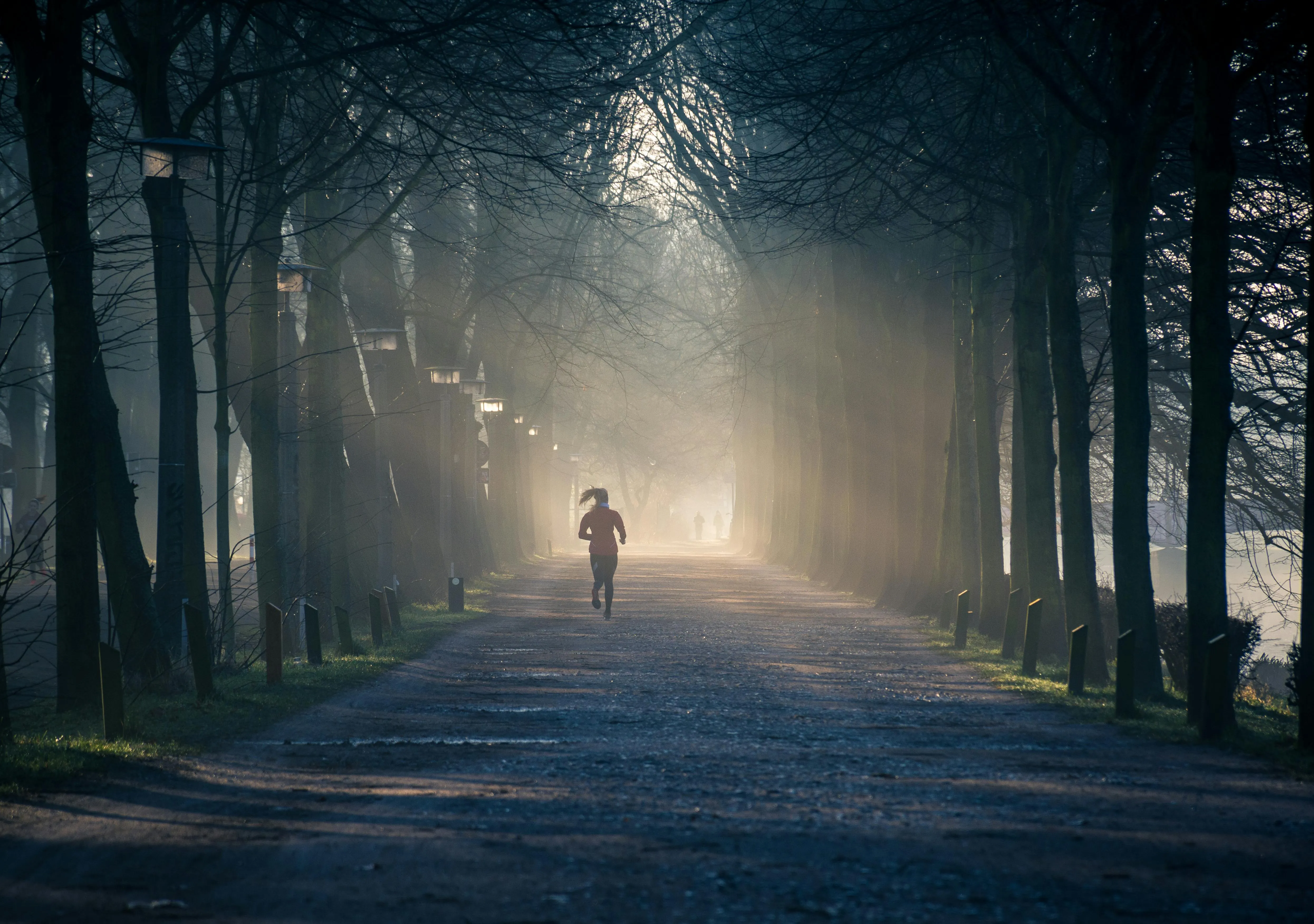 Philip Ackermann on Pexels
