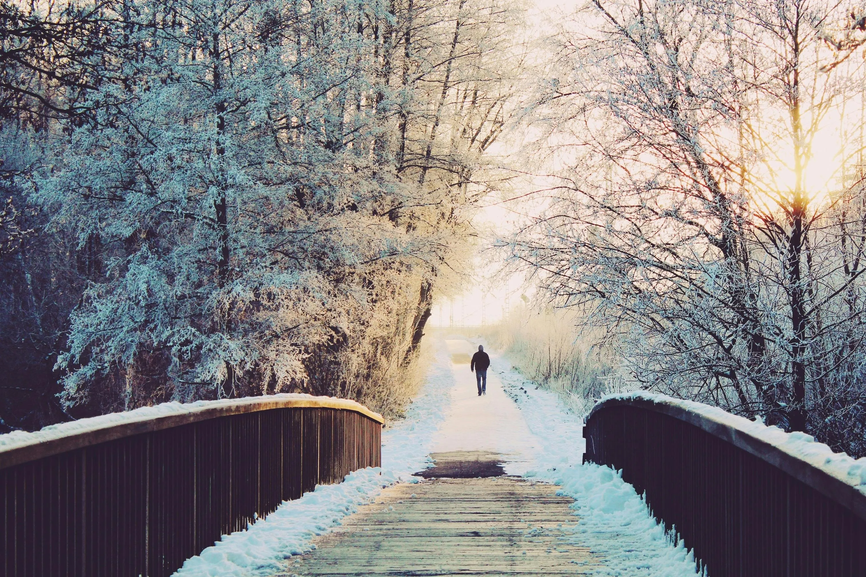 15 Winter Mornings That Felt Especially Slow