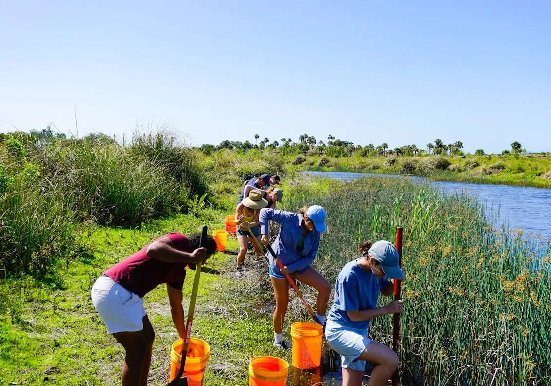 The Tampa Bay Estuary Program from Unsplash