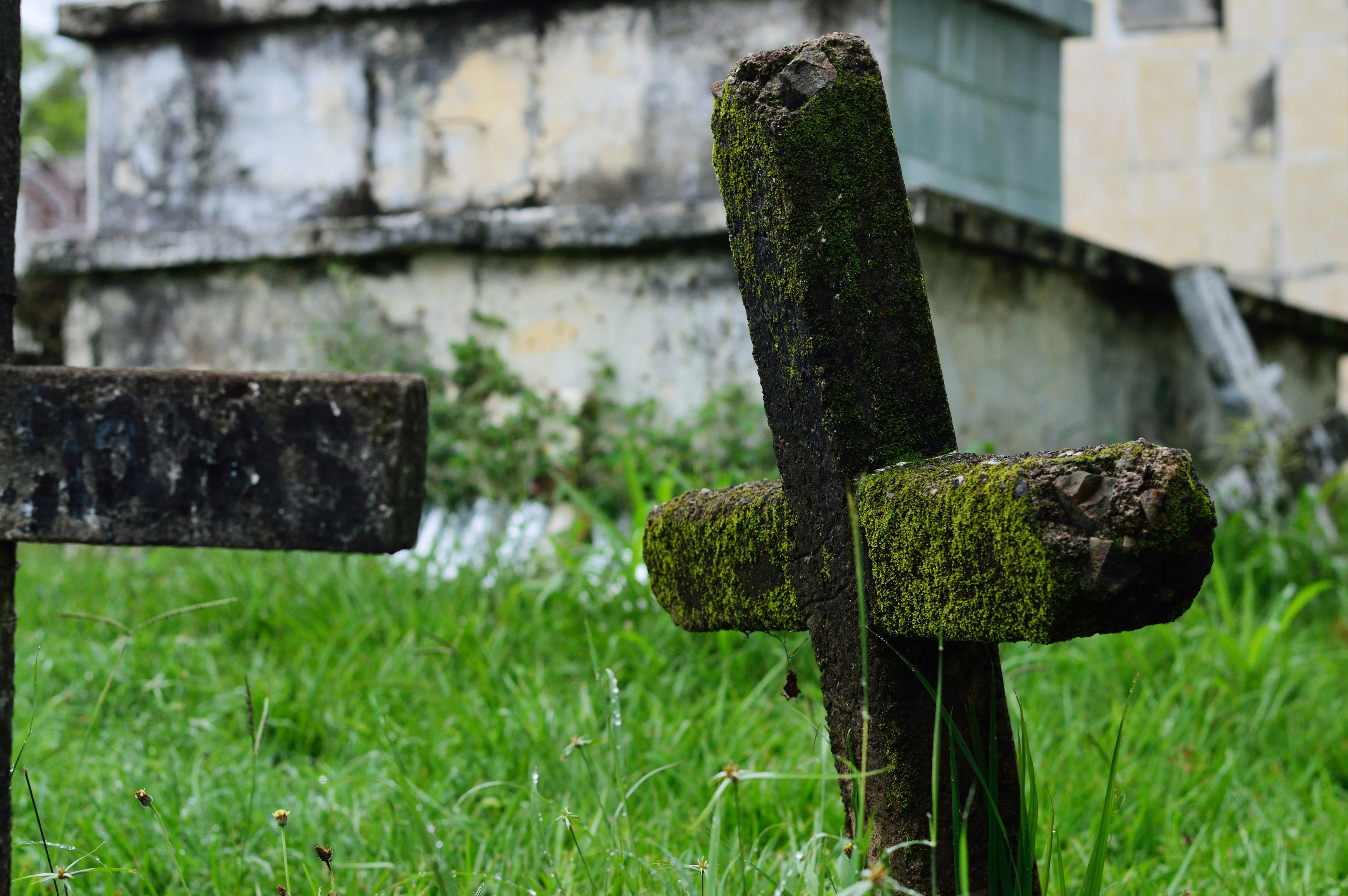 14 Forgotten Burial Sites With Unusual Stories