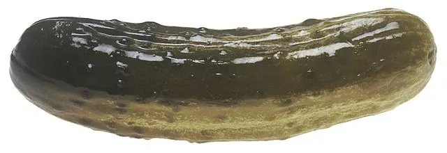 Renee Comet (photographer) on Wikimedia Commons 