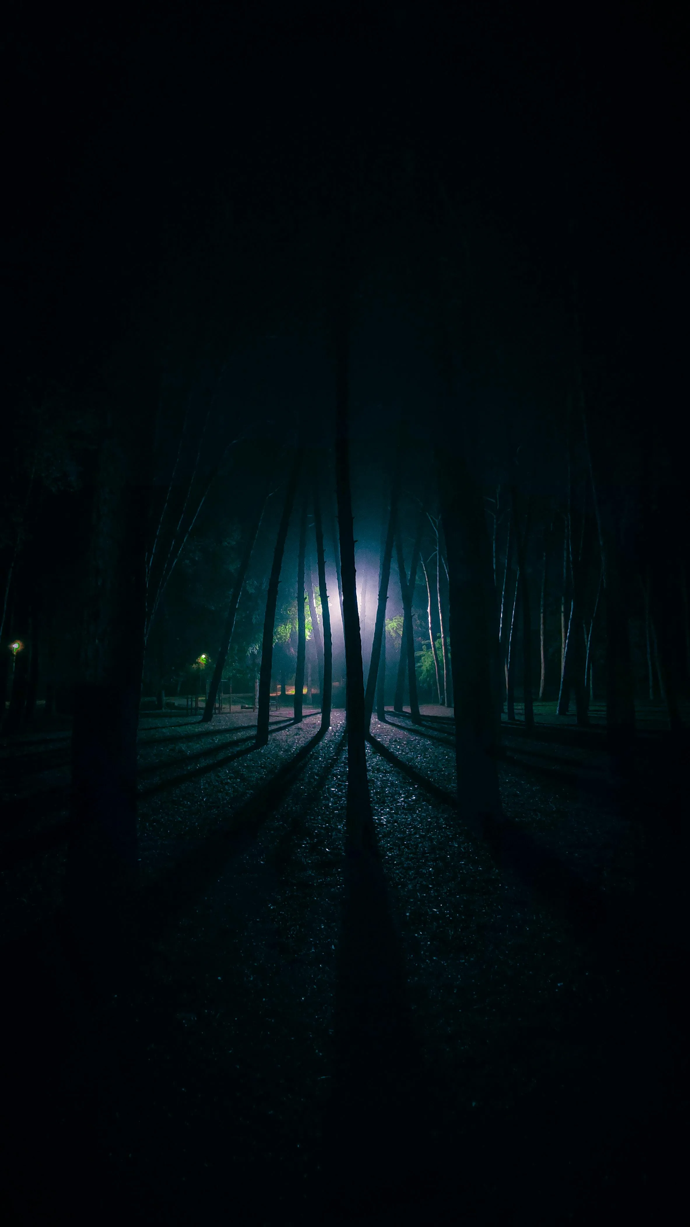 David Gari on Pexels