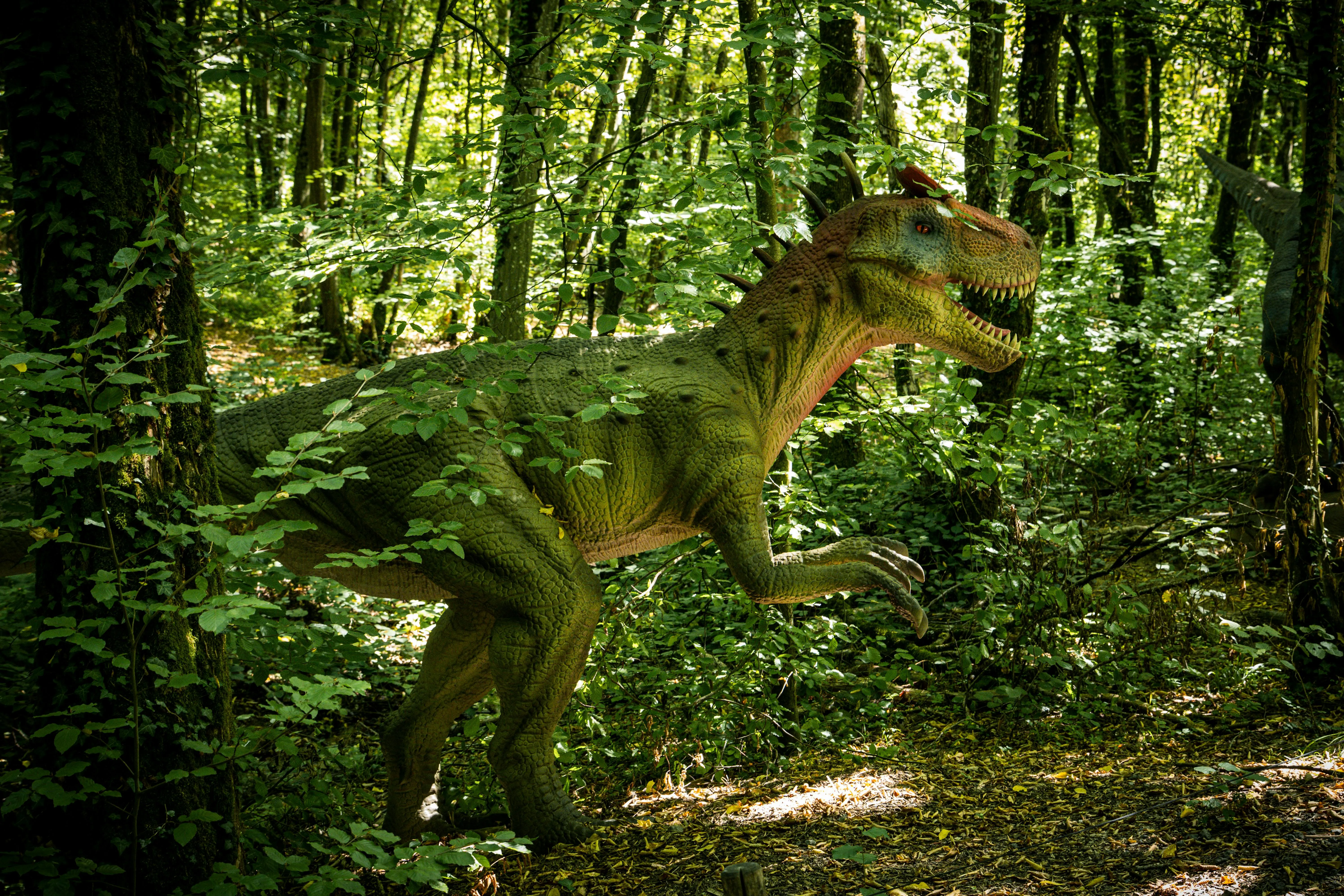 Antonio Mistretta on Pexels