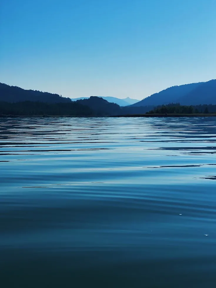 Jenn Wood from Unsplash