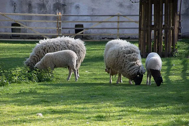 Bramans on Wikimedia Commons
