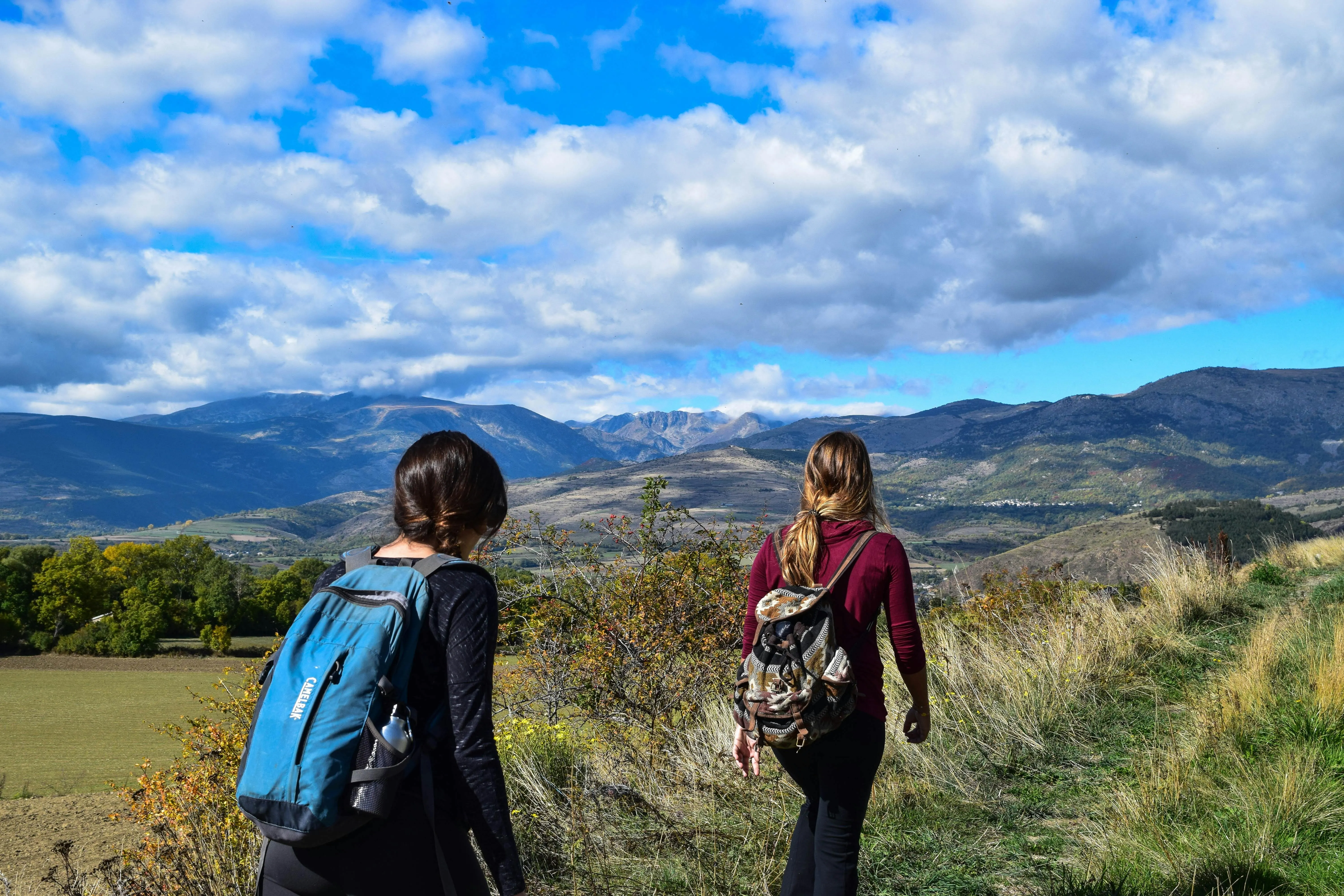 Pixabay on Pexels