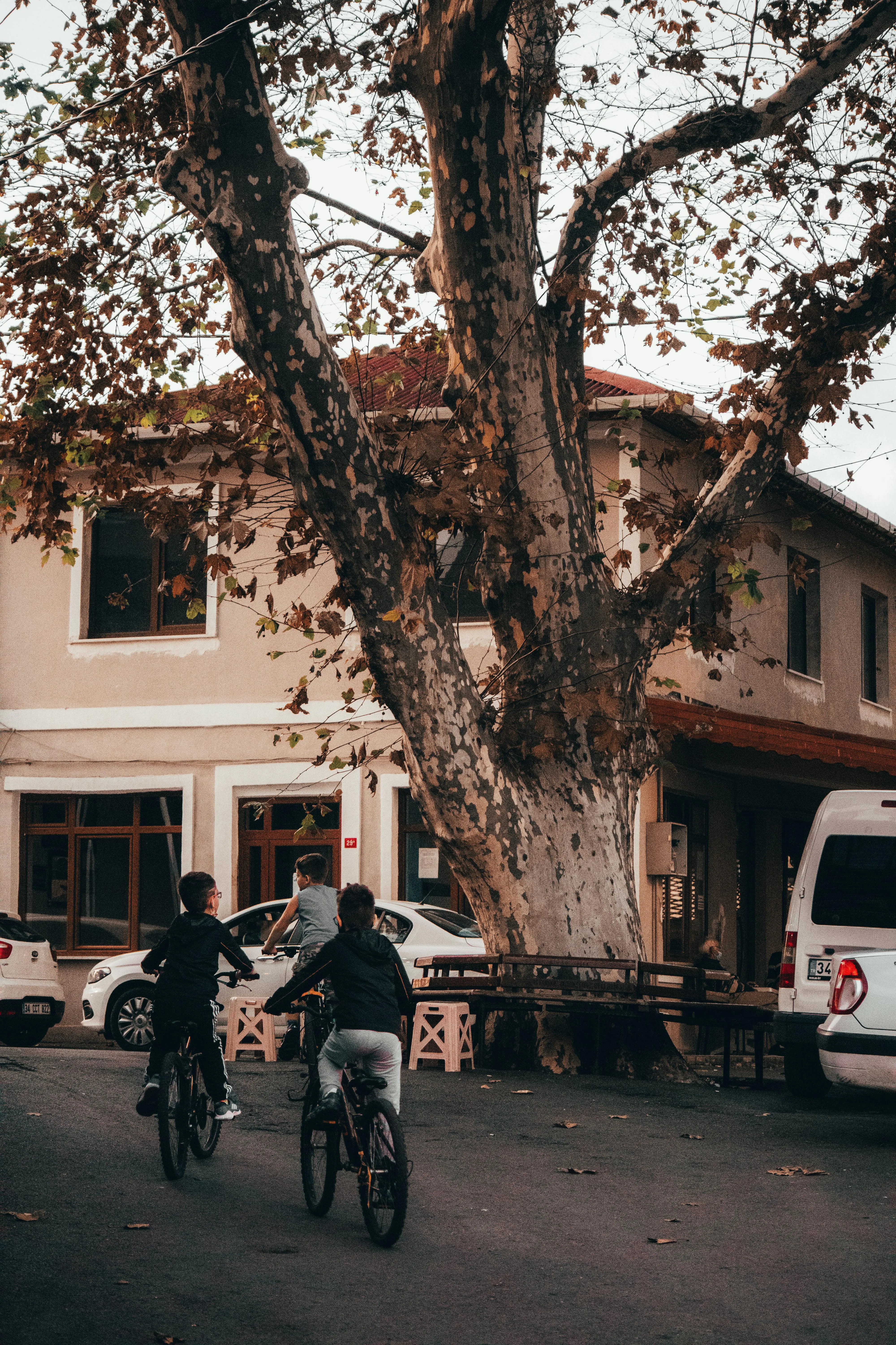 Celil DOĞAN on Pexels