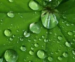 Image from ATRIA Innovation