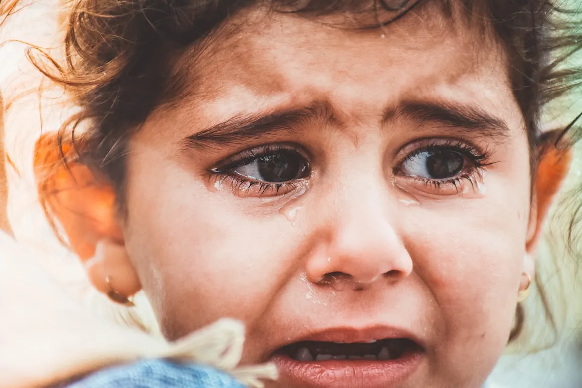 Zahra Amiri from Unsplash