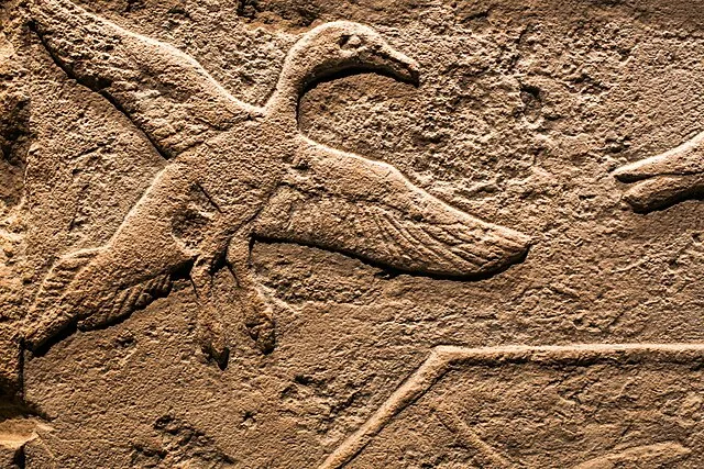 ArchaiOptix on Wikimedia Commons 