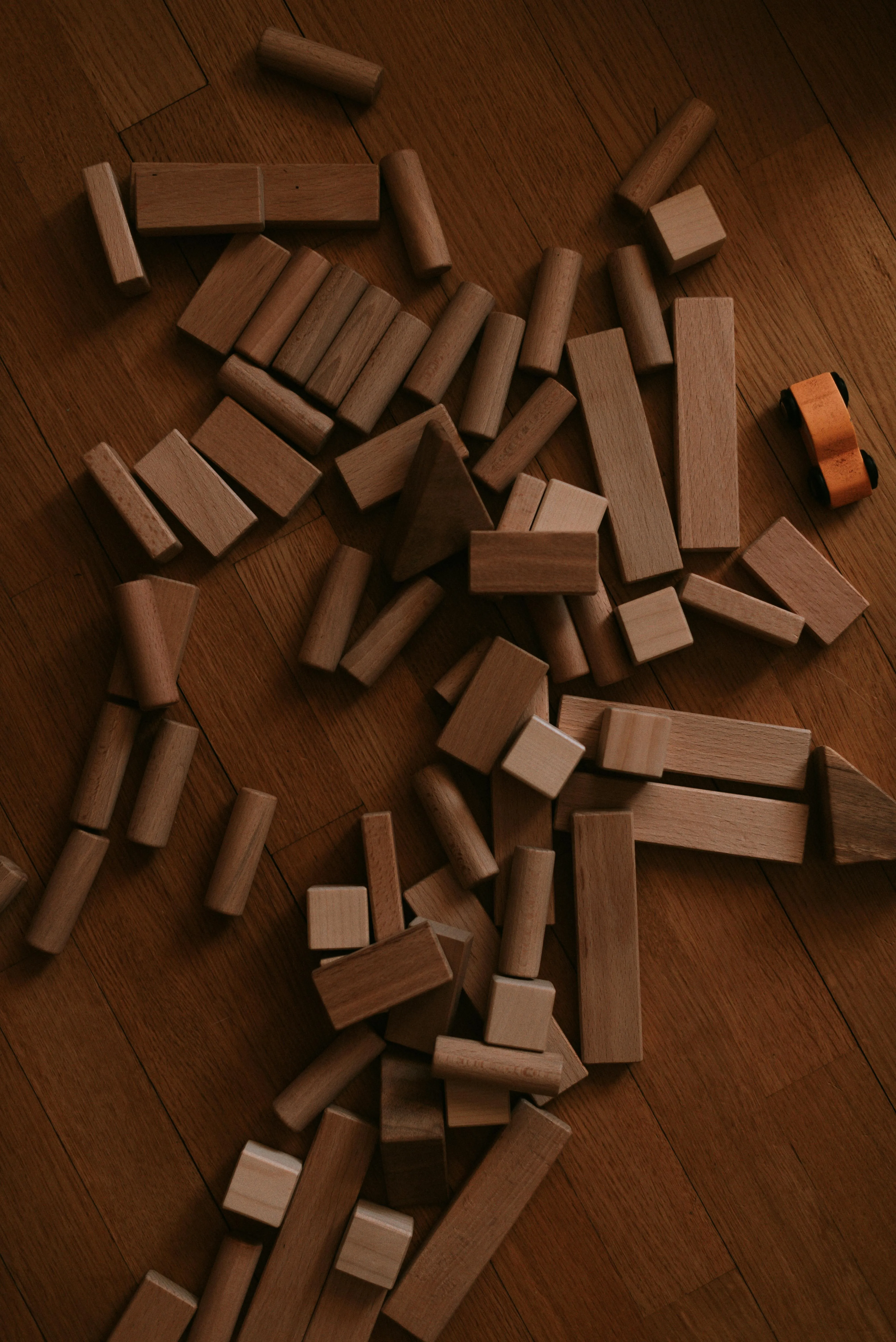 Julia Bataeva on Wikimedia Commons