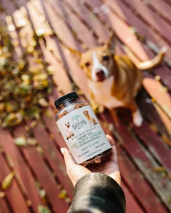 Tree of Life Seeds on Pexels