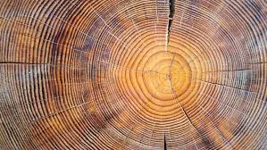 Image from Science News
