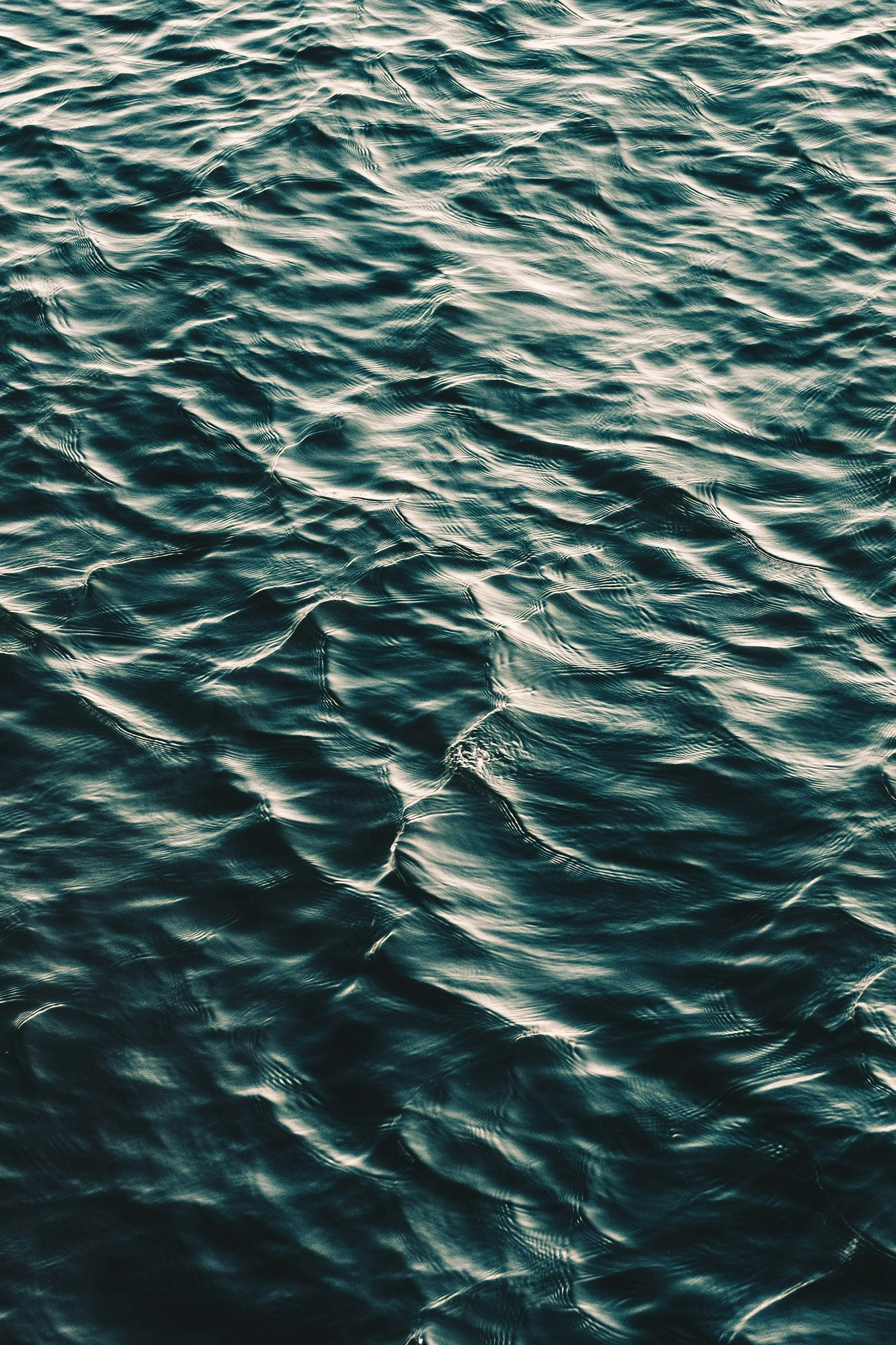Akira Hojo from Unsplash