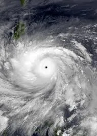 Image from Wikipedia 