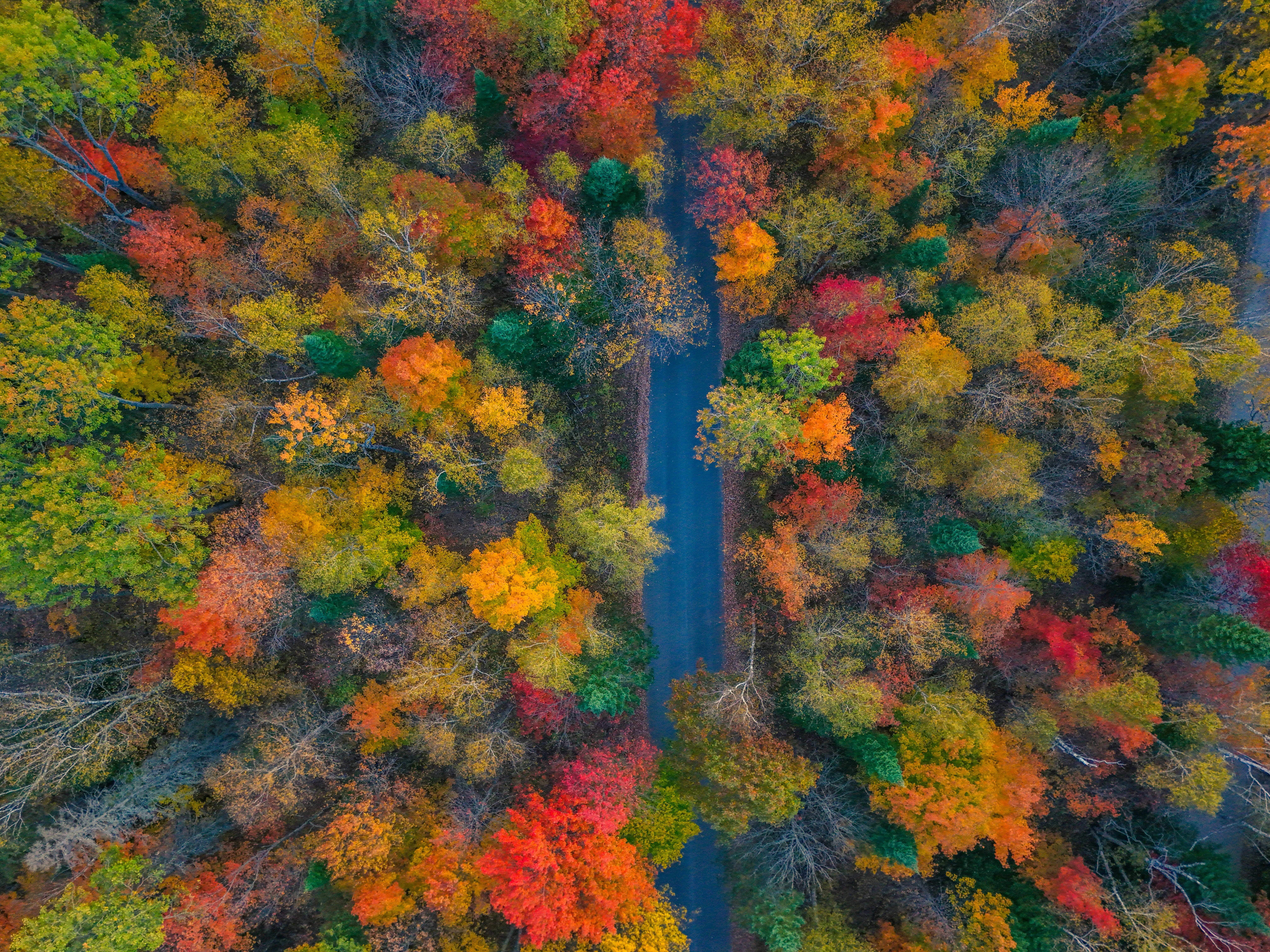 15 Traditions Centered Around Seasonal Changes
