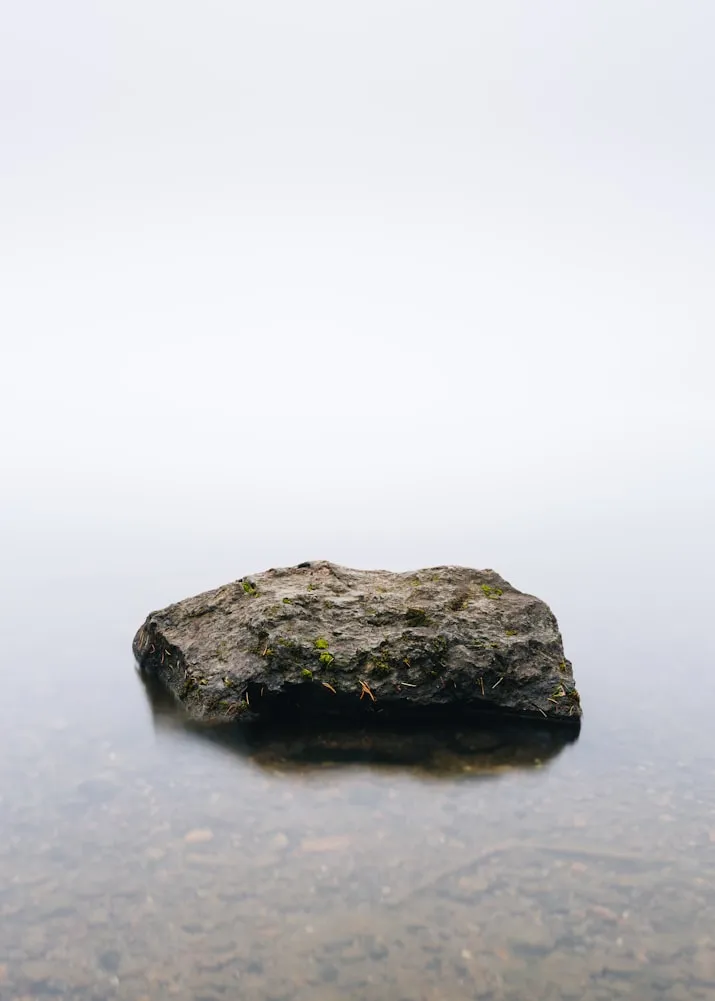Dave Hoefler from Unsplash