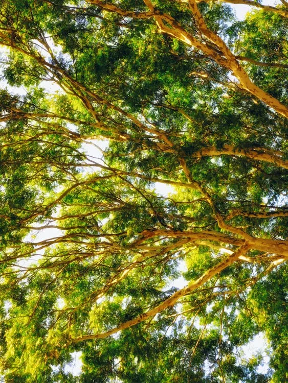 Andre Moura on Pexels