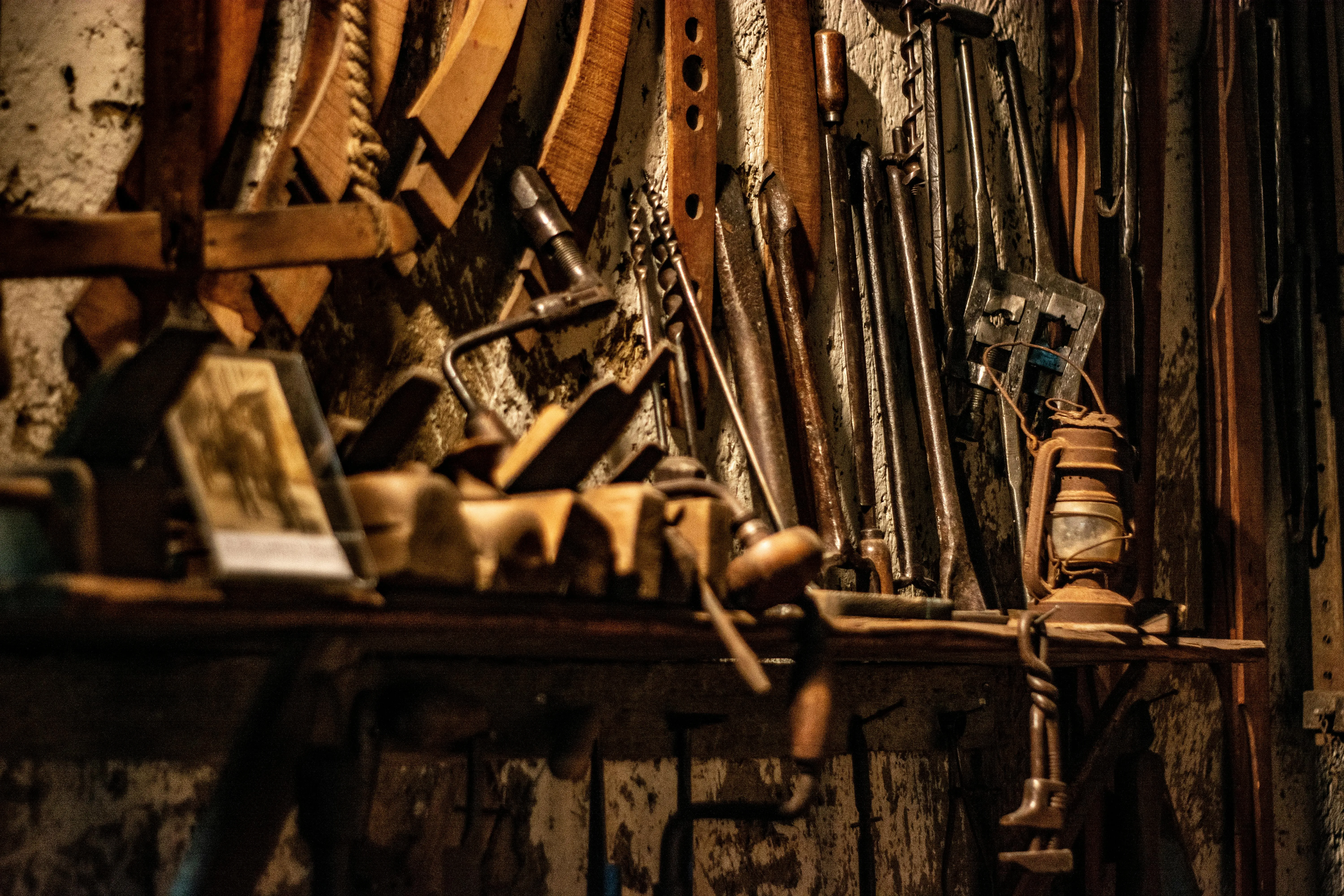 Barbaros Gültekin on Pexels